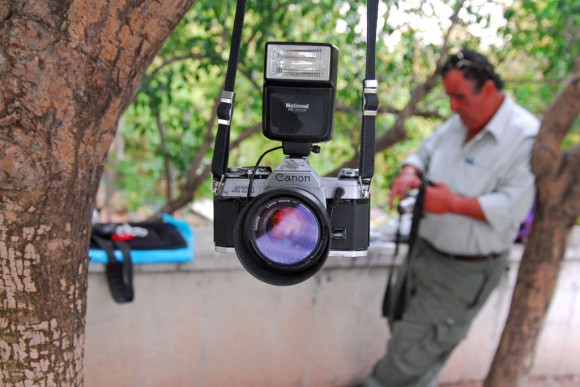 Tehran: park photographer