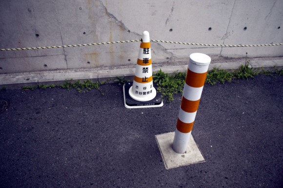 Tokyo: cone darwinism